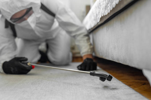 Professional Bed Bug Control technician working in North Seekonk, MA