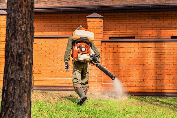 Trusted Cockroach Control service in North Seekonk, MA - Nex Pest Control